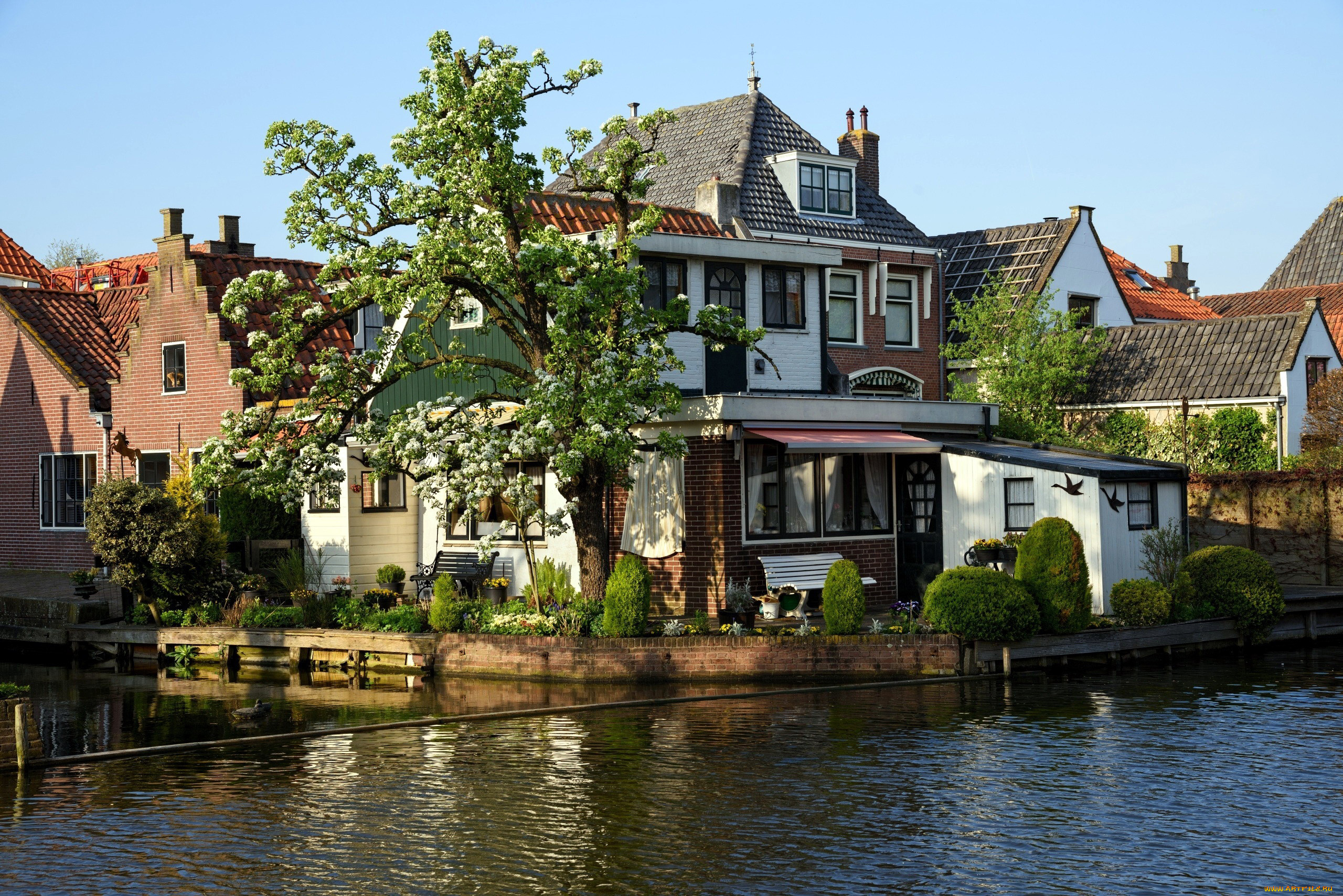 edam, netherlands, , - ,  